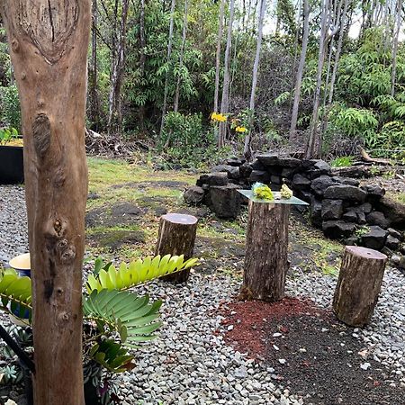 Exotic Garden Cottage At Amazing Volcano Fissure Mountain View Eksteriør billede
