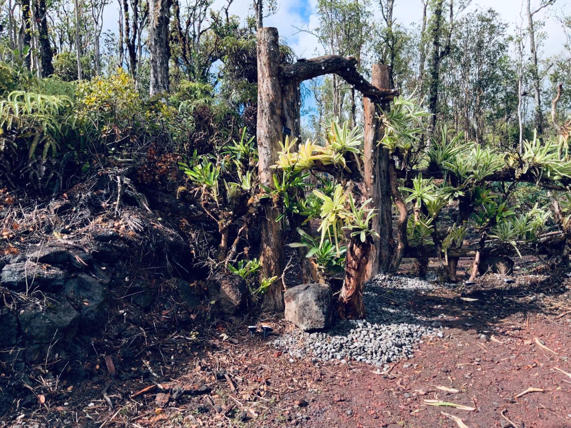 Exotic Garden Cottage At Amazing Volcano Fissure Mountain View Eksteriør billede