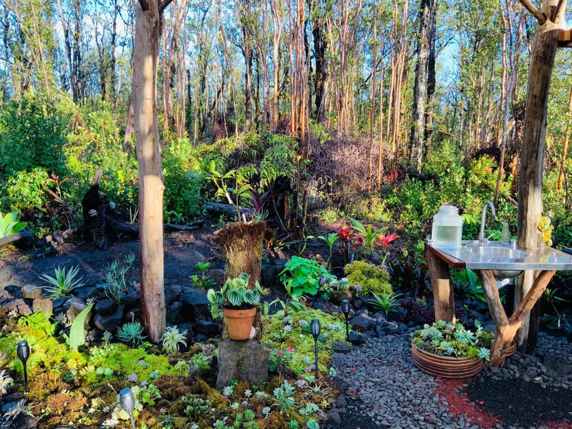 Exotic Garden Cottage At Amazing Volcano Fissure Mountain View Eksteriør billede