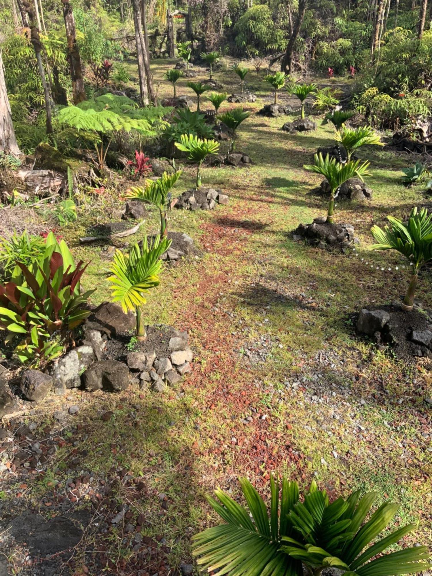 Exotic Garden Cottage At Amazing Volcano Fissure Mountain View Eksteriør billede