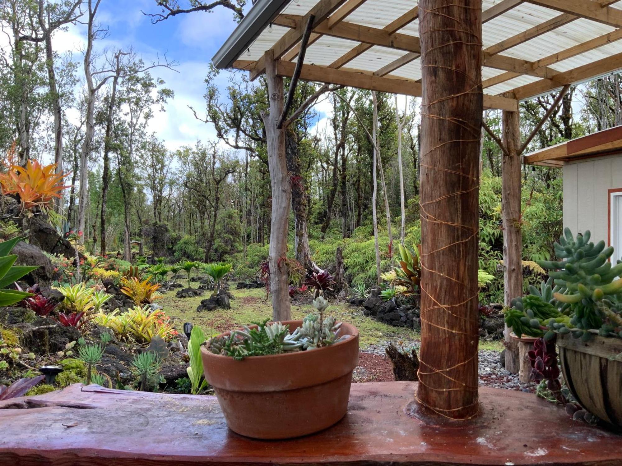Exotic Garden Cottage At Amazing Volcano Fissure Mountain View Eksteriør billede