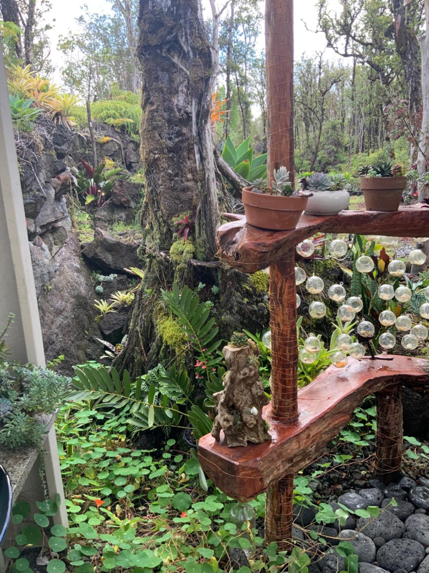 Exotic Garden Cottage At Amazing Volcano Fissure Mountain View Eksteriør billede