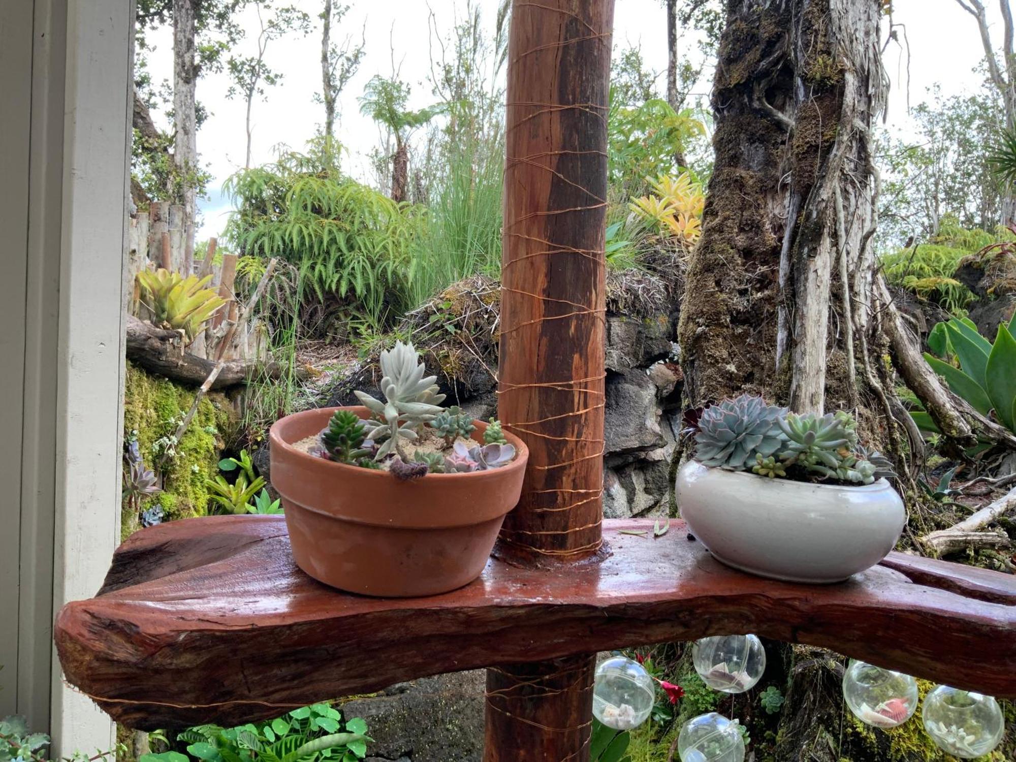 Exotic Garden Cottage At Amazing Volcano Fissure Mountain View Eksteriør billede