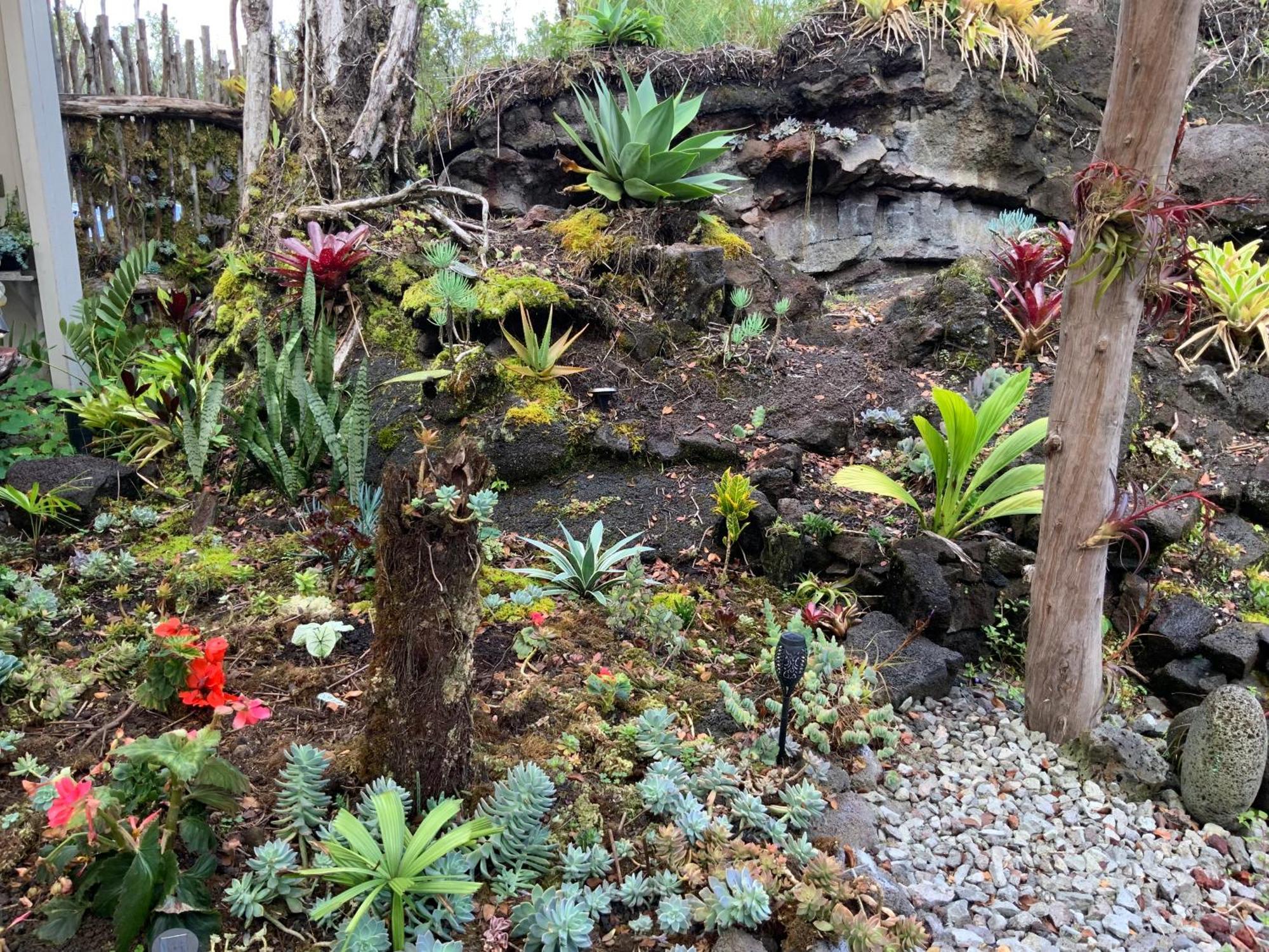 Exotic Garden Cottage At Amazing Volcano Fissure Mountain View Eksteriør billede