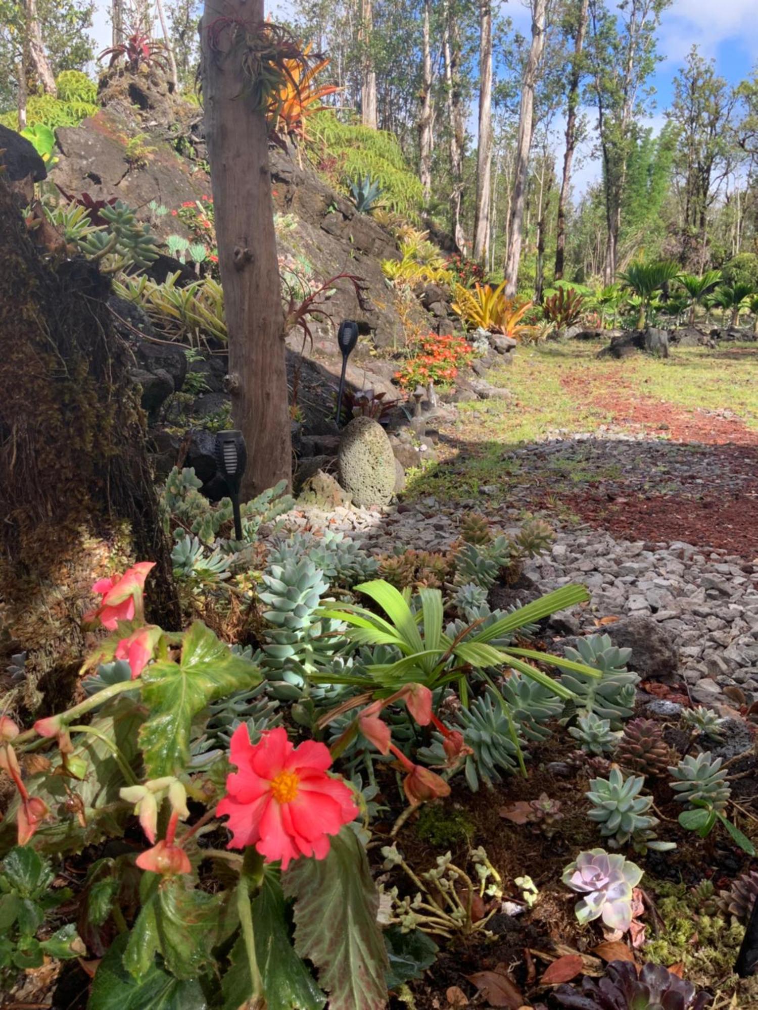 Exotic Garden Cottage At Amazing Volcano Fissure Mountain View Eksteriør billede