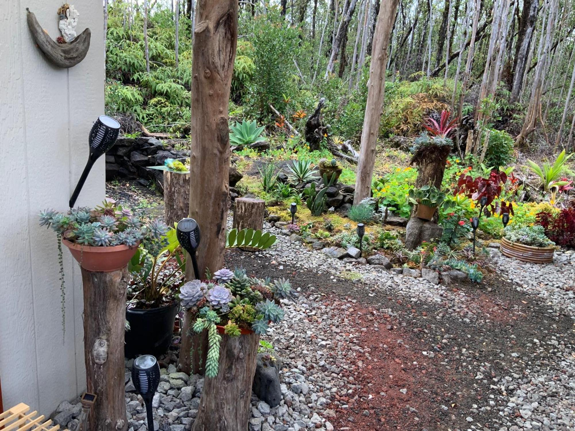 Exotic Garden Cottage At Amazing Volcano Fissure Mountain View Eksteriør billede