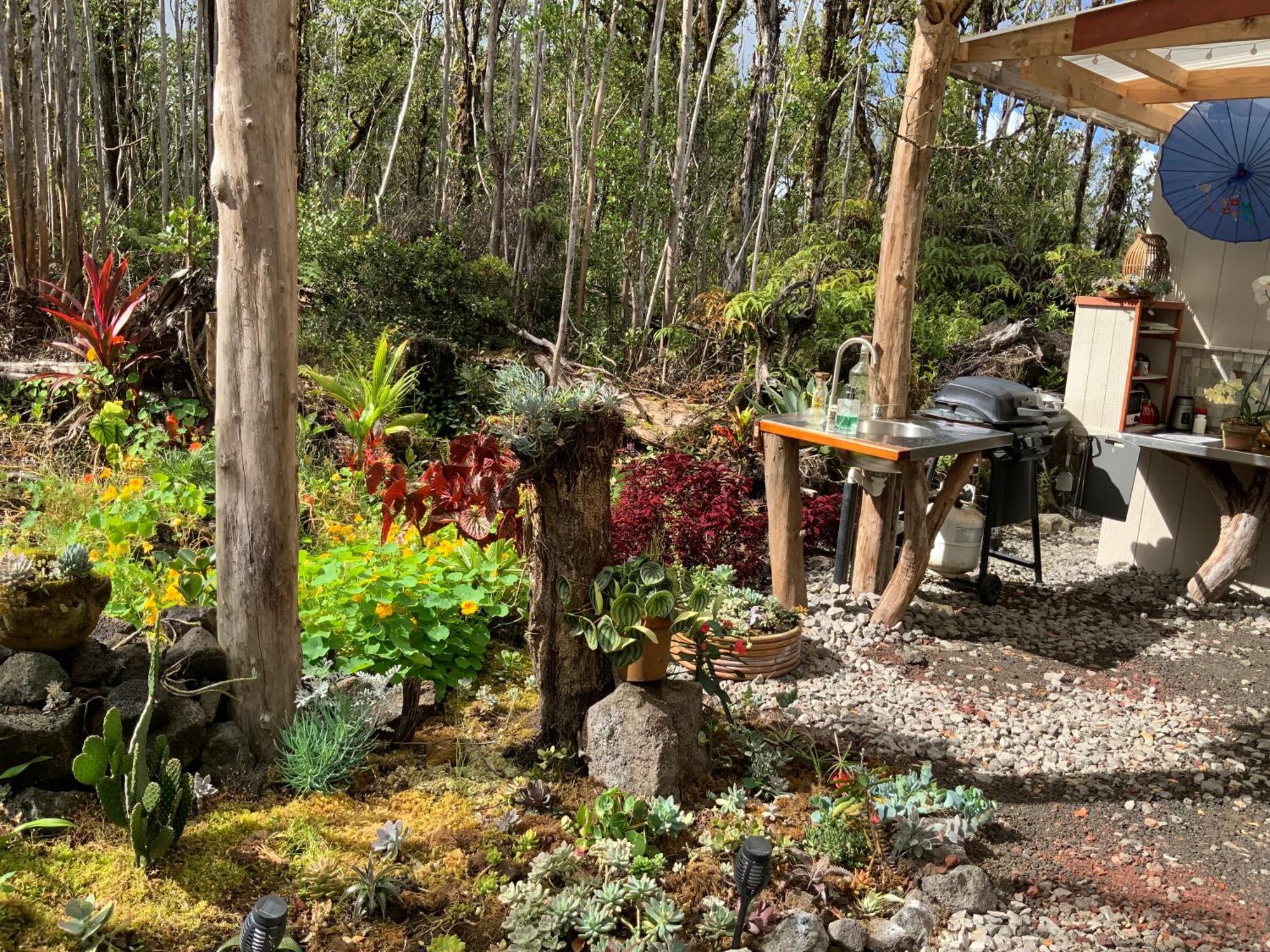 Exotic Garden Cottage At Amazing Volcano Fissure Mountain View Eksteriør billede