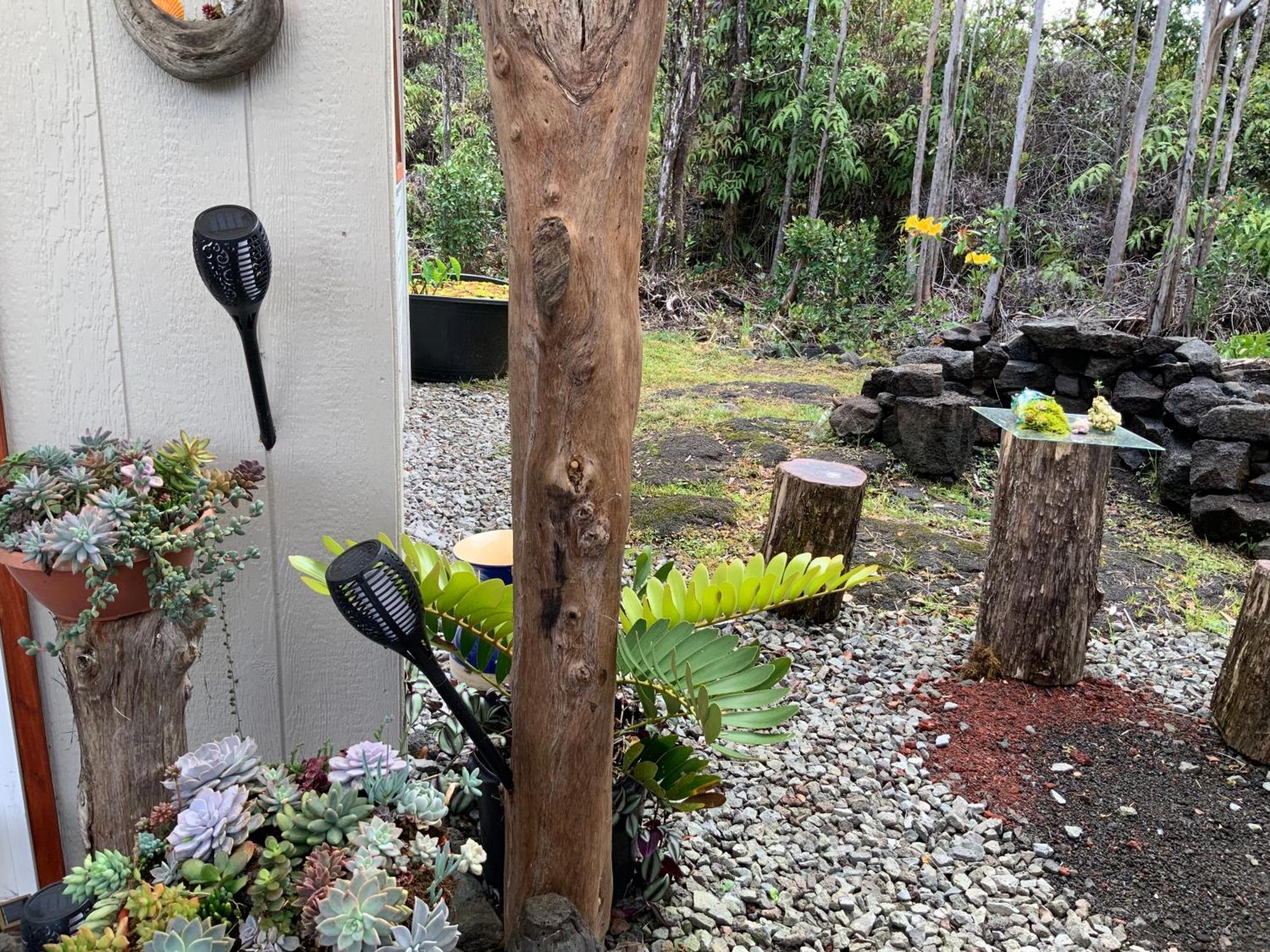 Exotic Garden Cottage At Amazing Volcano Fissure Mountain View Eksteriør billede