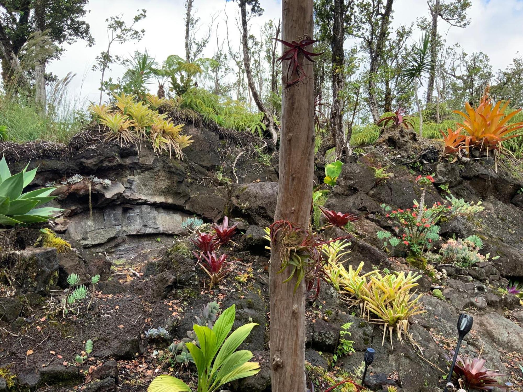 Exotic Garden Cottage At Amazing Volcano Fissure Mountain View Eksteriør billede