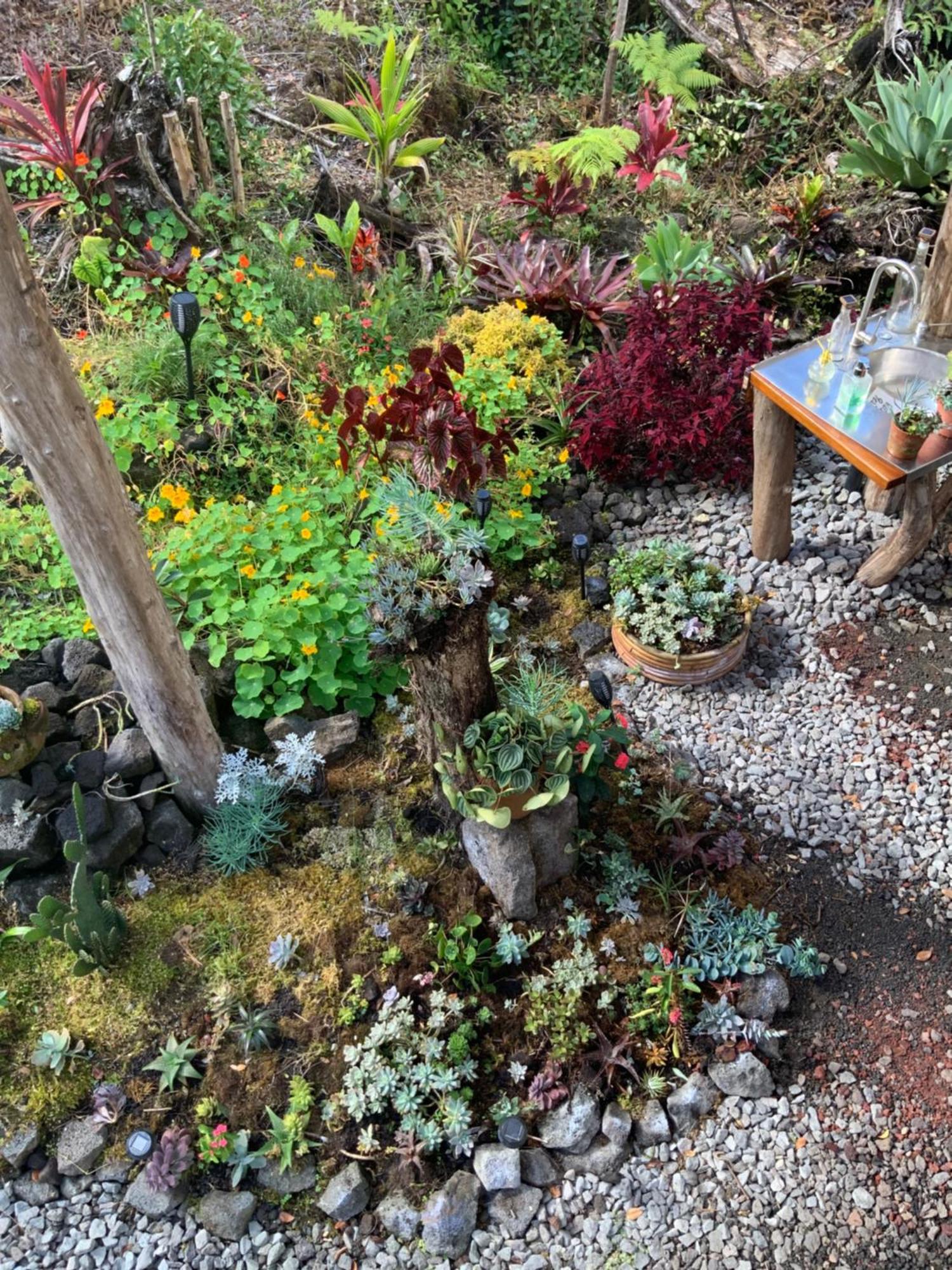 Exotic Garden Cottage At Amazing Volcano Fissure Mountain View Eksteriør billede
