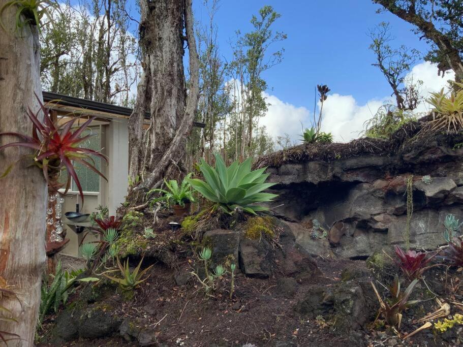 Exotic Garden Cottage At Amazing Volcano Fissure Mountain View Eksteriør billede