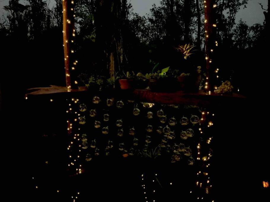 Exotic Garden Cottage At Amazing Volcano Fissure Mountain View Eksteriør billede
