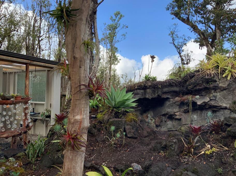 Exotic Garden Cottage At Amazing Volcano Fissure Mountain View Eksteriør billede