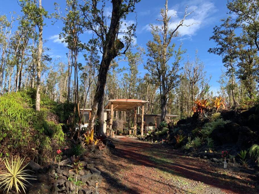 Exotic Garden Cottage At Amazing Volcano Fissure Mountain View Eksteriør billede