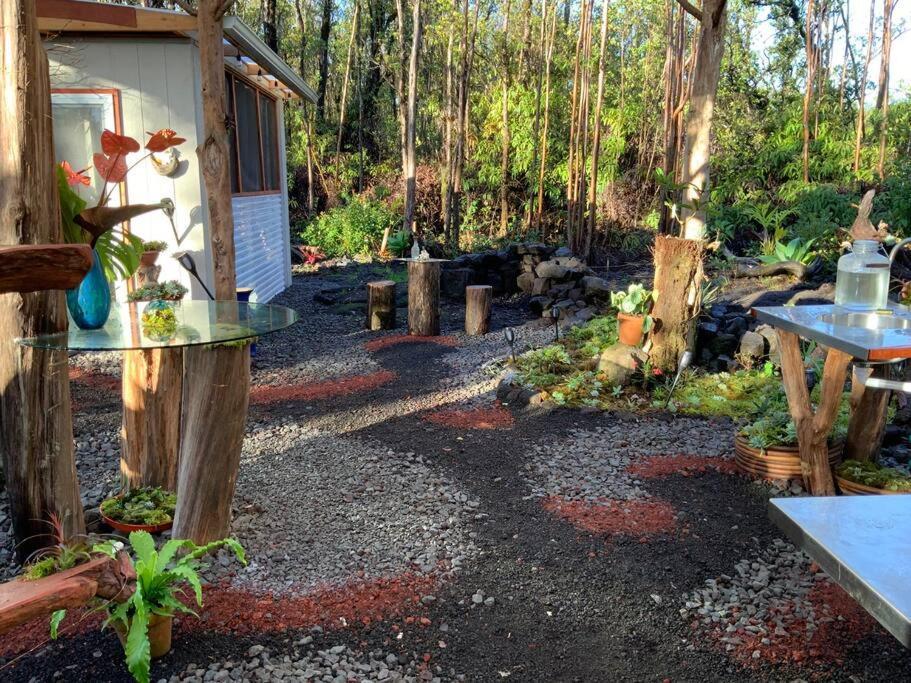 Exotic Garden Cottage At Amazing Volcano Fissure Mountain View Eksteriør billede