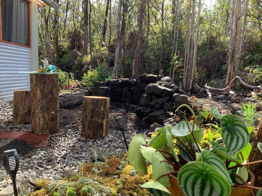 Exotic Garden Cottage At Amazing Volcano Fissure Mountain View Eksteriør billede