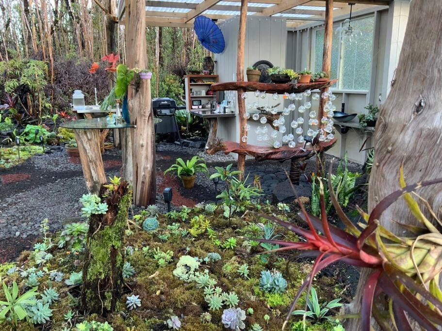Exotic Garden Cottage At Amazing Volcano Fissure Mountain View Eksteriør billede