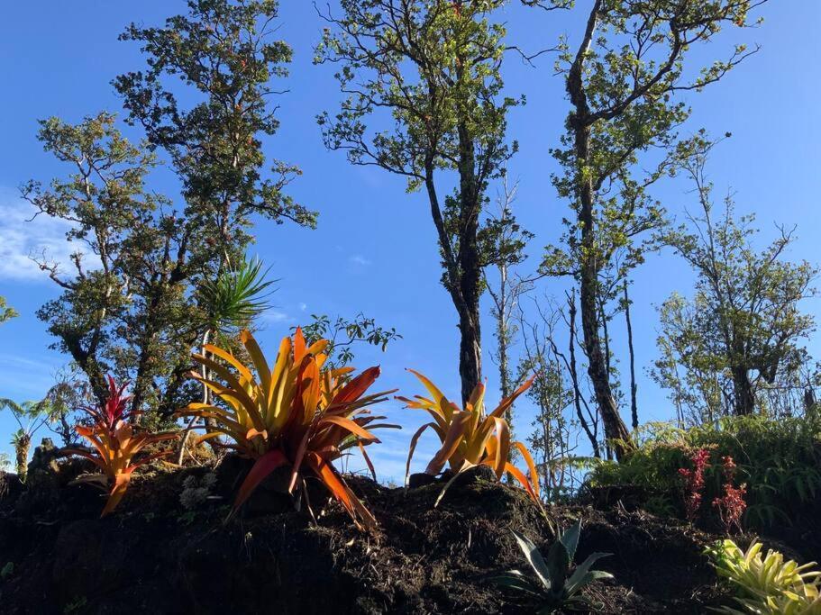 Exotic Garden Cottage At Amazing Volcano Fissure Mountain View Eksteriør billede