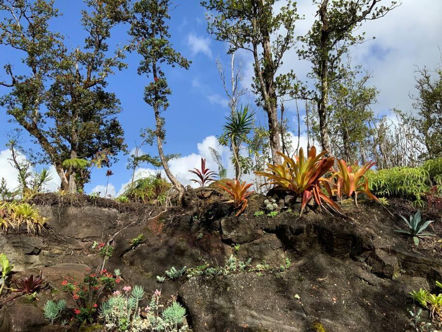 Exotic Garden Cottage At Amazing Volcano Fissure Mountain View Eksteriør billede
