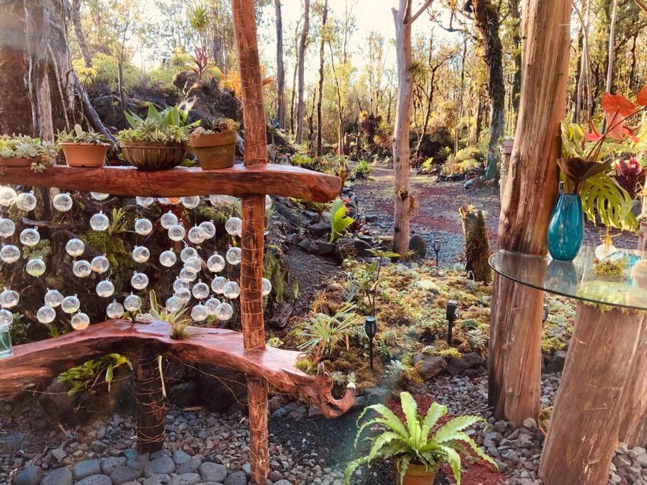 Exotic Garden Cottage At Amazing Volcano Fissure Mountain View Eksteriør billede