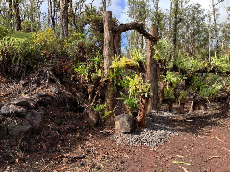 Exotic Garden Cottage At Amazing Volcano Fissure Mountain View Eksteriør billede